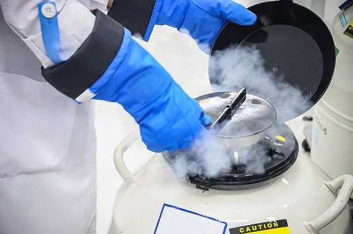Cryogenic Safety: its effects, causes and precautions